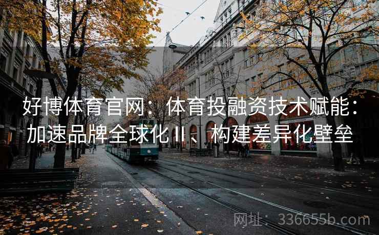 好博体育官网：体育投融资技术赋能：加速品牌全球化Ⅱ、构建差异化壁垒