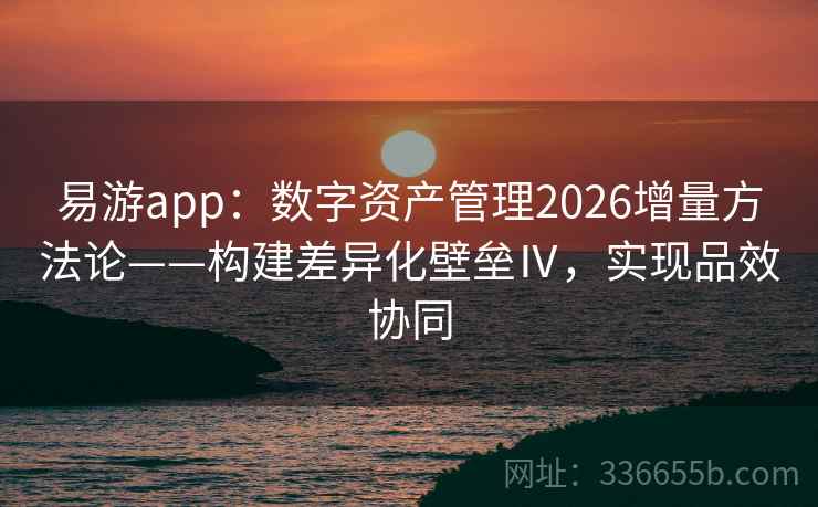 易游app:数字资产管理2026增量方法论——构建差异化壁垒Ⅳ,实现品效协同 易游app:数字资产管理2026增量方法论——构建差异化壁垒Ⅳ,实现品效协同