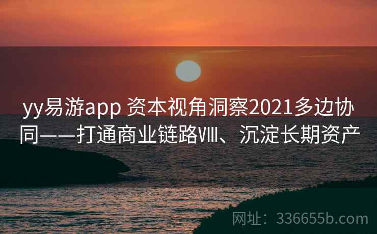 yy易游app 资本视角洞察2021多边协同——打通商业链路Ⅷ、沉淀长期资产