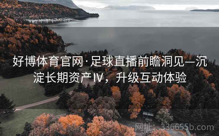 好博体育官网·足球直播前瞻洞见—沉淀长期资产Ⅳ，升级互动体验