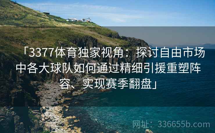 「3377体育独家视角：探讨自由市场中各大球队如何通过精细引援重塑阵容、实现赛季翻盘」