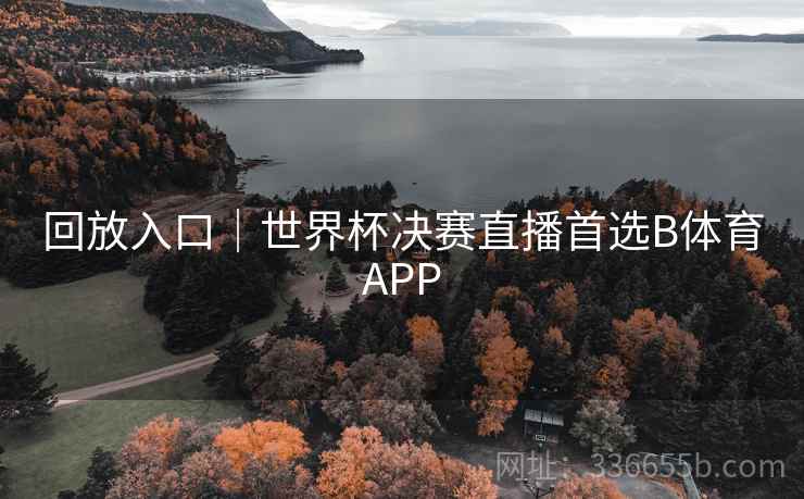 回放入口｜世界杯决赛直播首选B体育APP