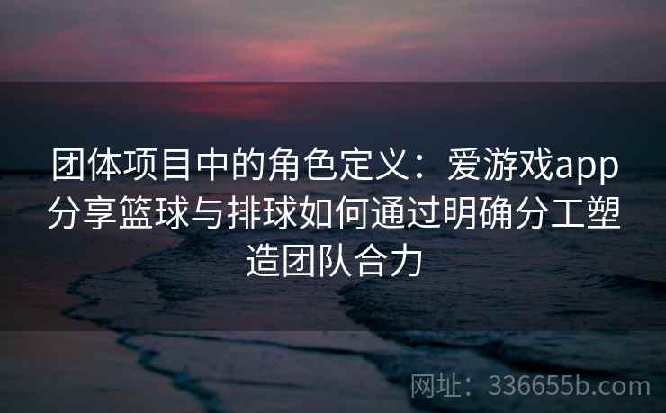 团体项目中的角色定义：爱游戏app分享篮球与排球如何通过明确分工塑造团队合力