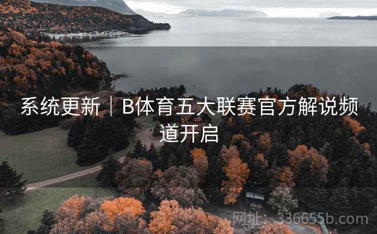 系统更新｜B体育五大联赛官方解说频道开启